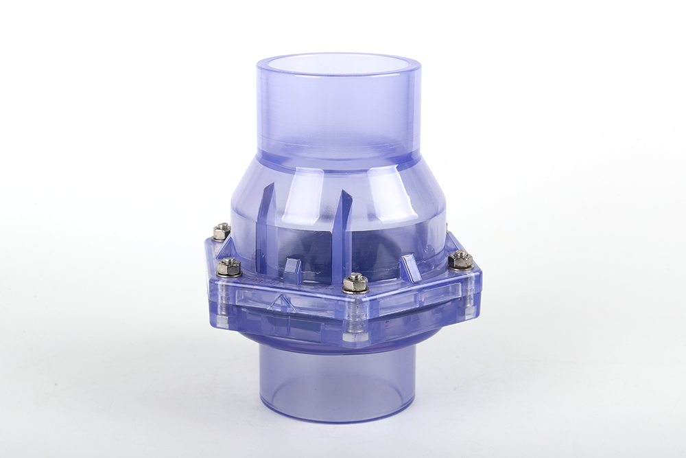 中兴镇透明翻板式止回阀